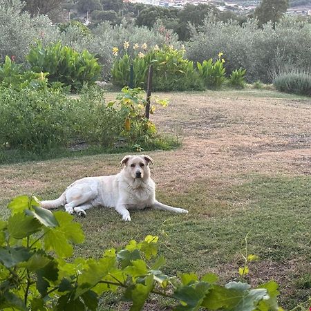 Casa Rural La Recuera Montánchez 외부 사진