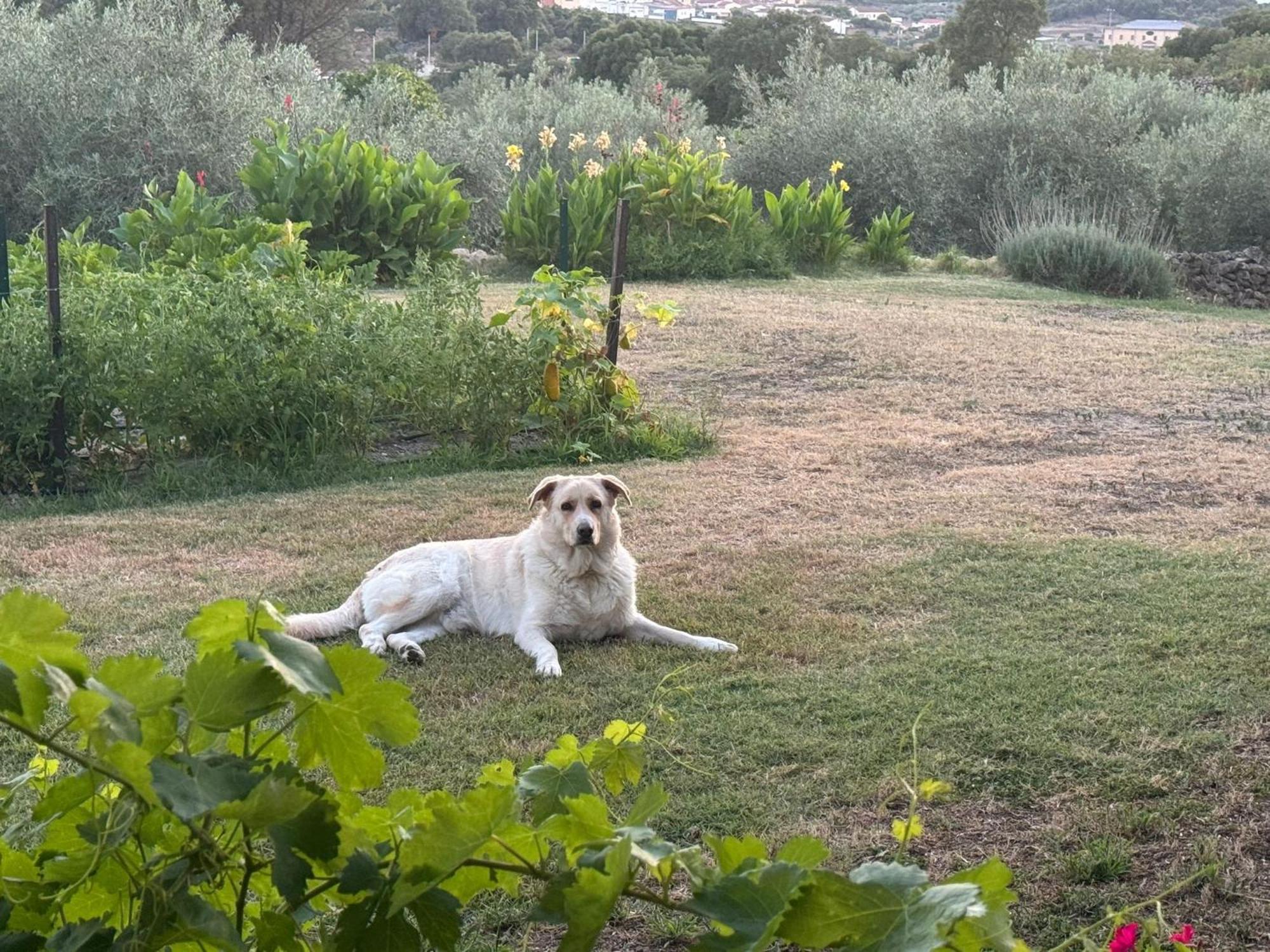 Casa Rural La Recuera Montánchez 외부 사진