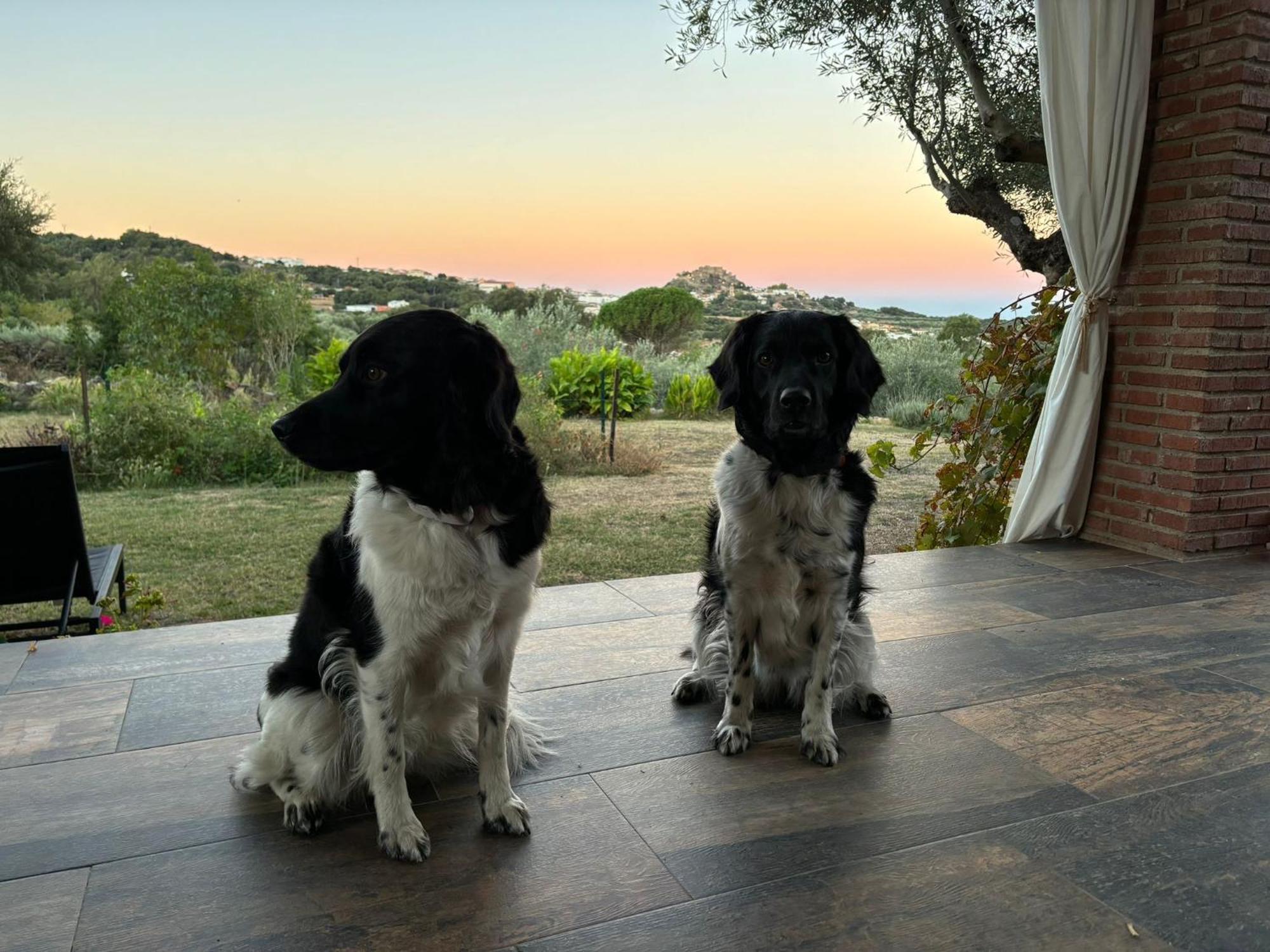 Casa Rural La Recuera Montánchez 외부 사진